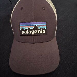 Patagonia Logo Trucker Hat